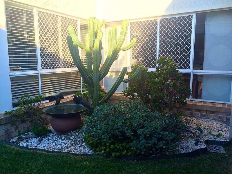41 Sorbonne Close, Sippy Downs QLD 4556