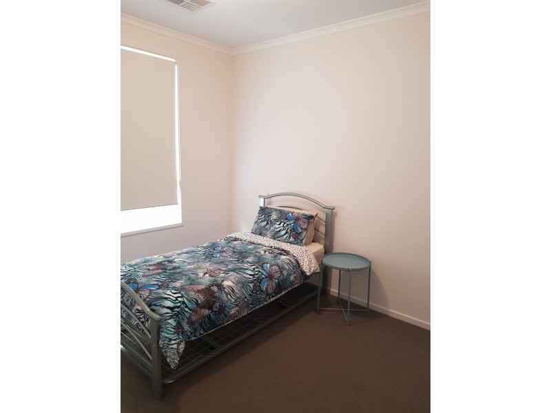 19A Allambee Avenue, Edwardstown SA 5039