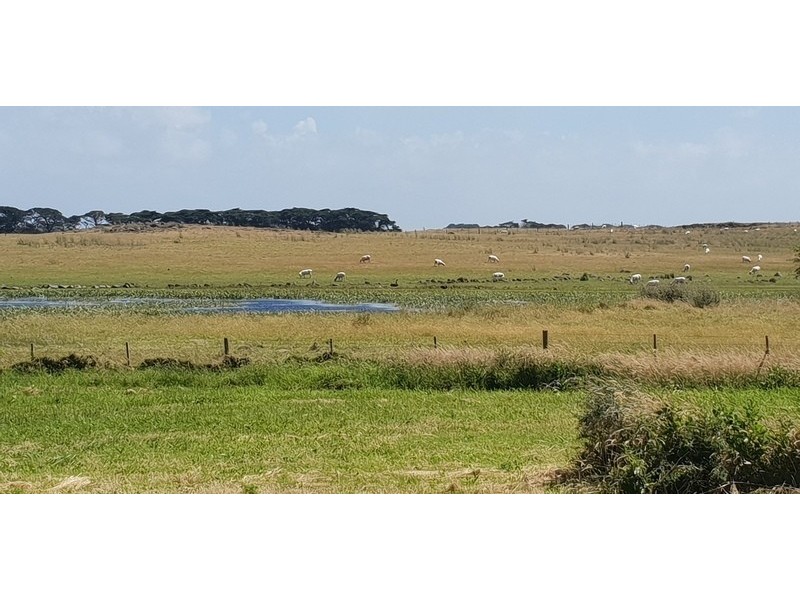 363 FINGERBOARD ROAD, Port Fairy VIC 3284