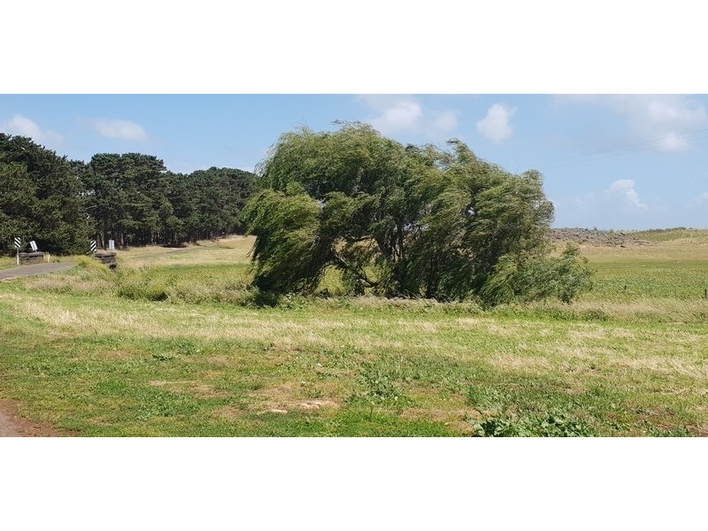 363 FINGERBOARD ROAD, Port Fairy VIC 3284