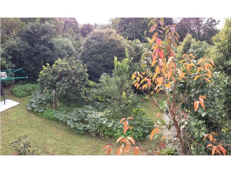Nambour QLD 4560