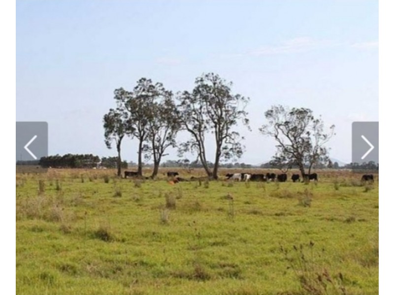 Lot 10/258 Left Bank Road, Kinchela NSW 2440