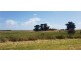 363 FINGERBOARD ROAD, Port Fairy VIC 3284