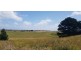 363 FINGERBOARD ROAD, Port Fairy VIC 3284