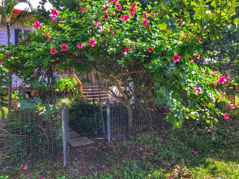 20 Skyring St, Bundaberg East QLD 4670