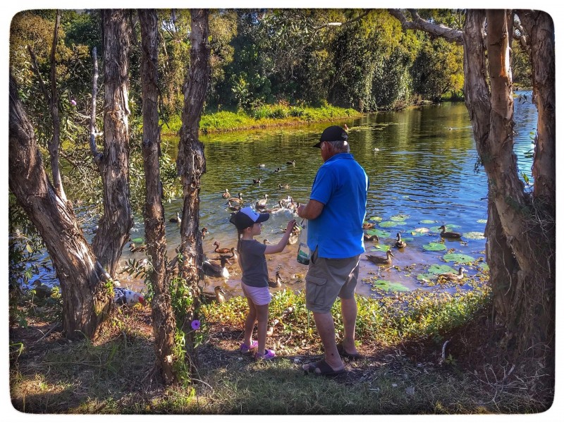 20 Skyring St, Bundaberg East QLD 4670