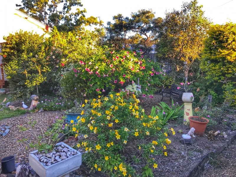 20 Skyring St, Bundaberg East QLD 4670