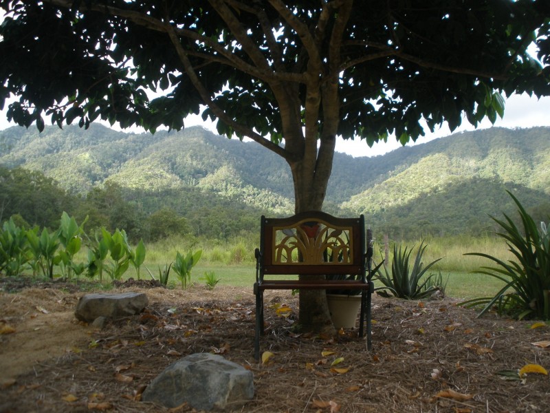 6209 Mackay-Eungella Road, Finch Hatton QLD 4756
