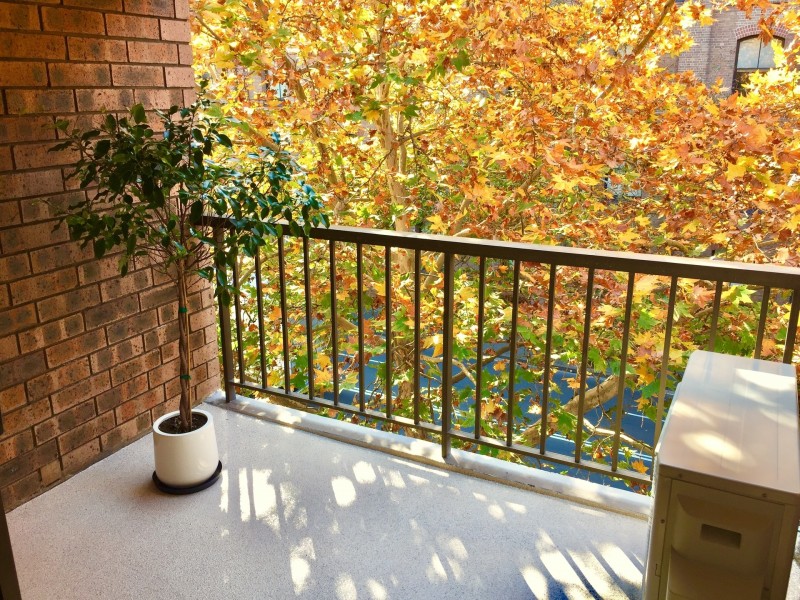 24/313 Harris Street, Pyrmont NSW 2009