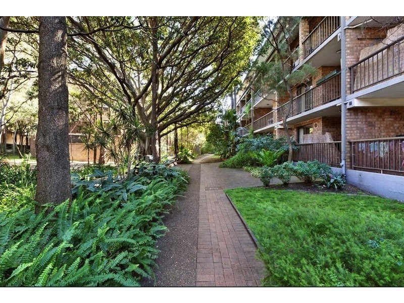 24/313 Harris Street, Pyrmont NSW 2009