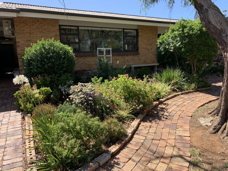 3 May Street, Firle SA 5070