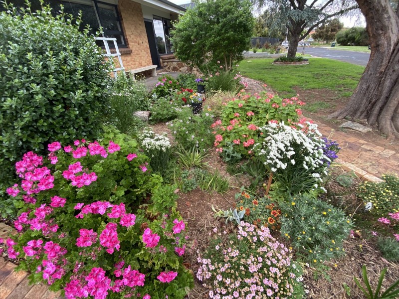 3 May Street, Firle SA 5070