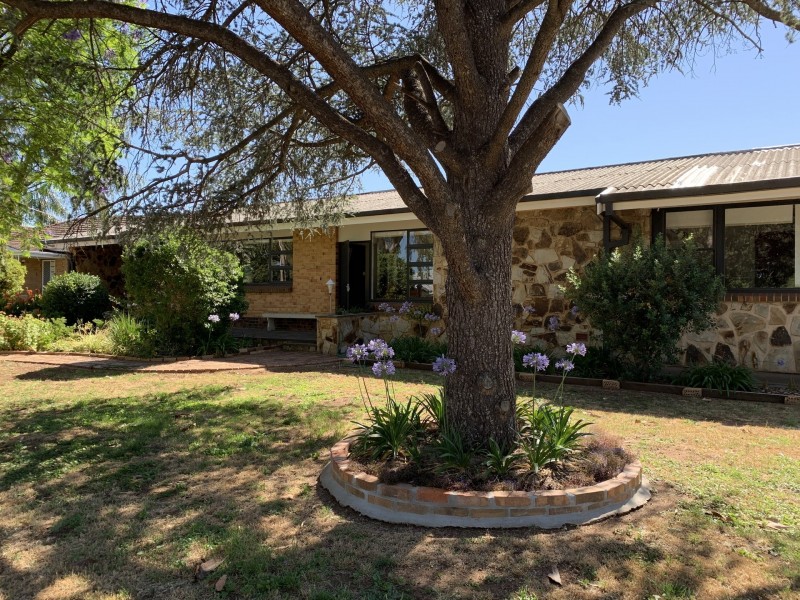 3 May Street, Firle SA 5070