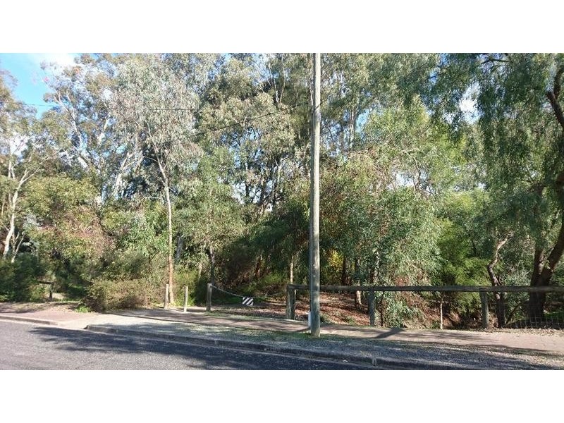 18 Clarence Drive, Athelstone SA 5076