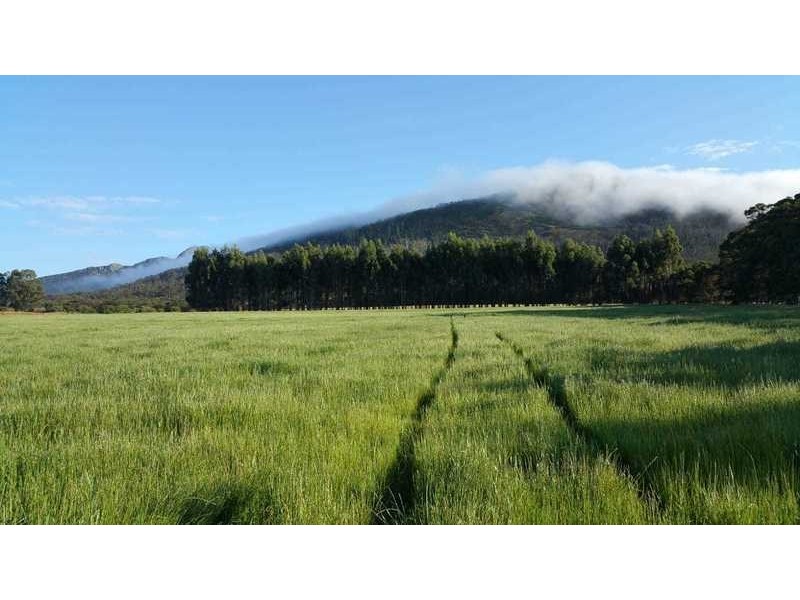 Lot 37 Millinup Road, Porongurup WA 6324