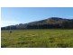 Lot 37 Millinup Road, Porongurup WA 6324