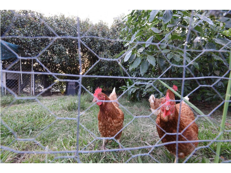 96 Kureelpa Falls Road, Kureelpa QLD 4560