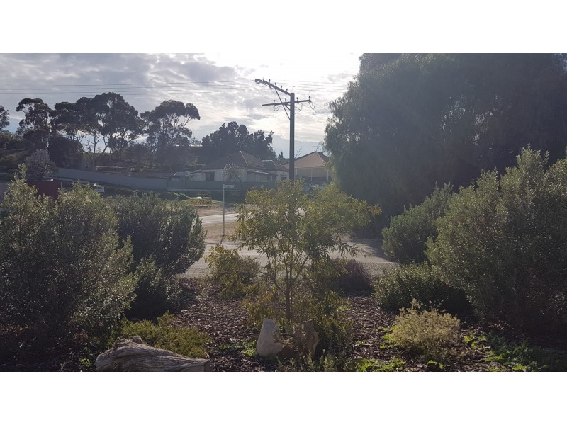 19 Leigh Street, Murray Bridge East SA 5253