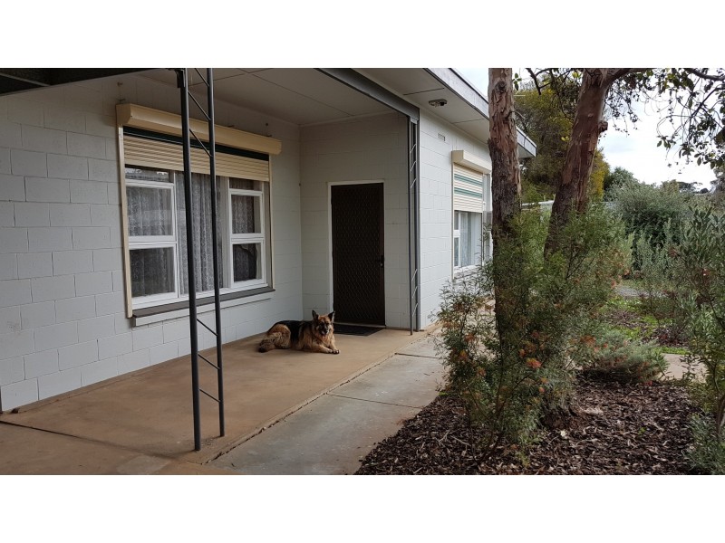 19 Leigh Street, Murray Bridge East SA 5253