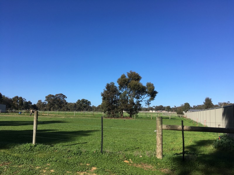 64 Ross St, Bendigo VIC 3550