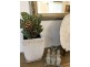 Figtree NSW 2525
