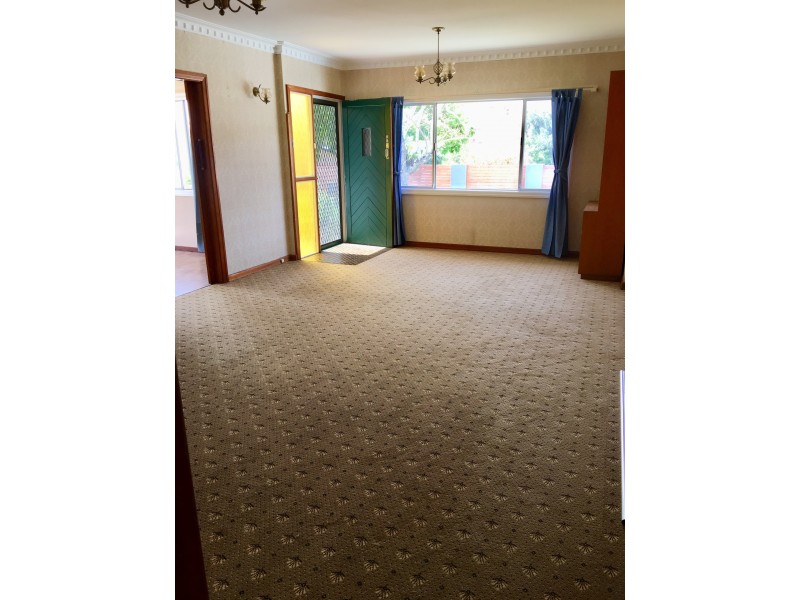 12 Miawela Street, Seven Hills QLD 4170