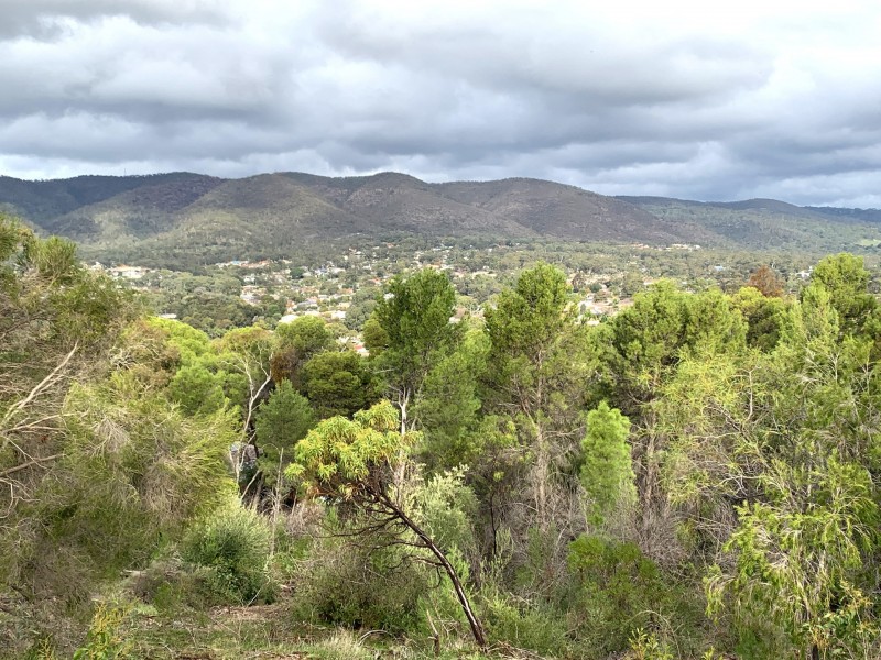 49 Valley View Drive, Highbury SA 5089