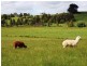 Lot 2, 30 Roberts Road, Warragul VIC 3820