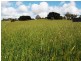 Lot 2, 30 Roberts Road, Warragul VIC 3820