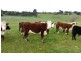 Lot 2, 30 Roberts Road, Warragul VIC 3820