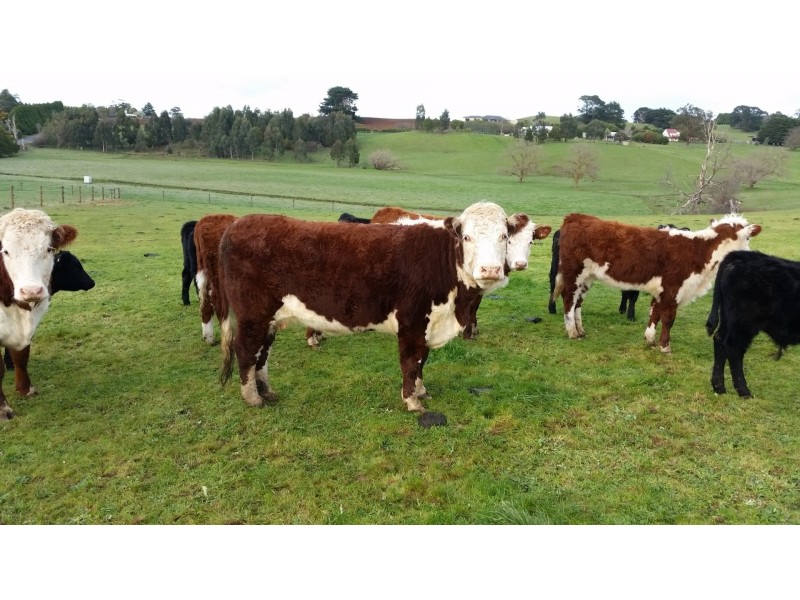 Lot 2, 30 Roberts Road, Warragul VIC 3820