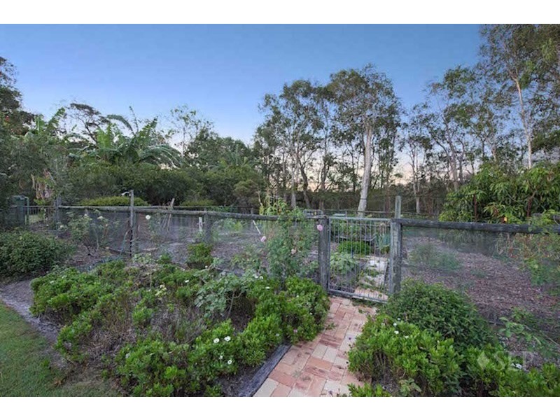1709 Roys Road, Beerwah QLD 4519