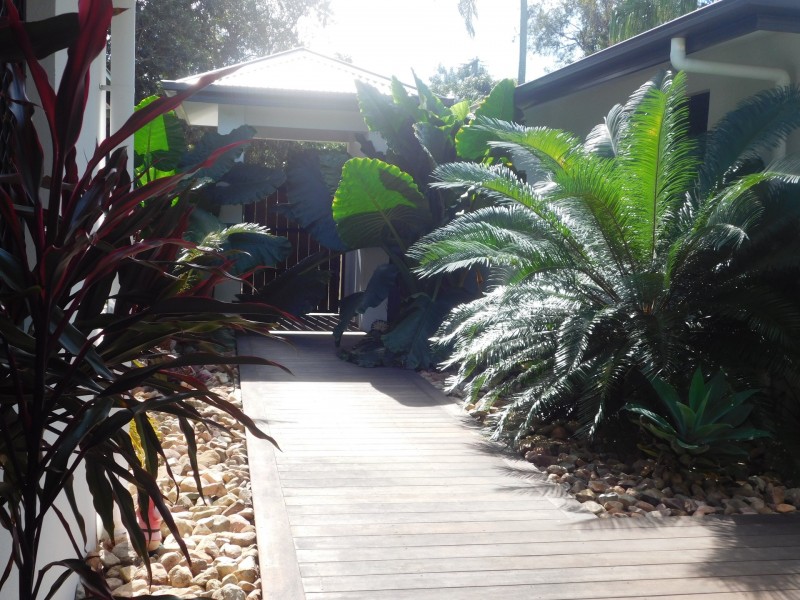 50 Forestry Road, Bluewater QLD 4818