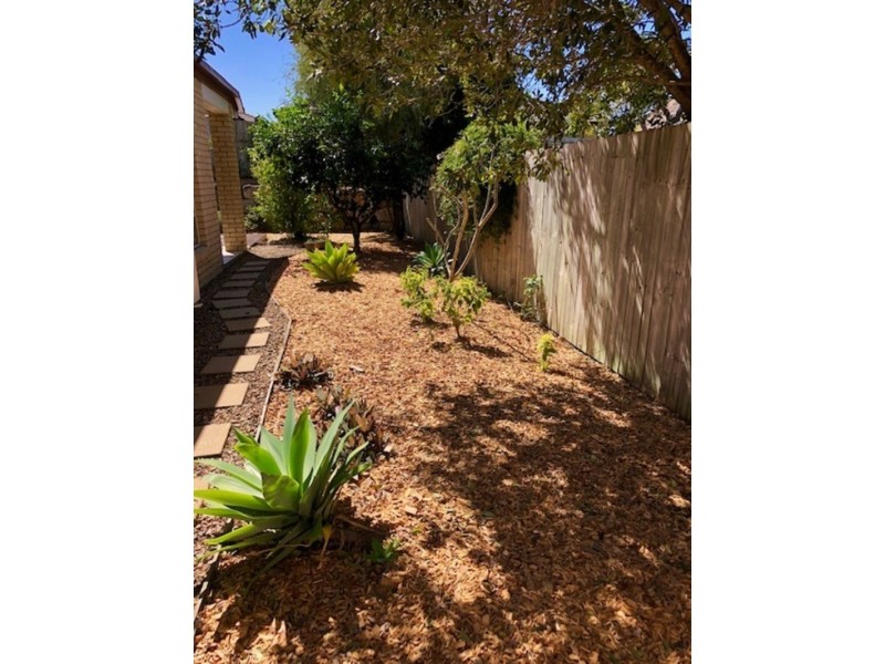 11 Whitecedar Circuit, North Lakes QLD 4509