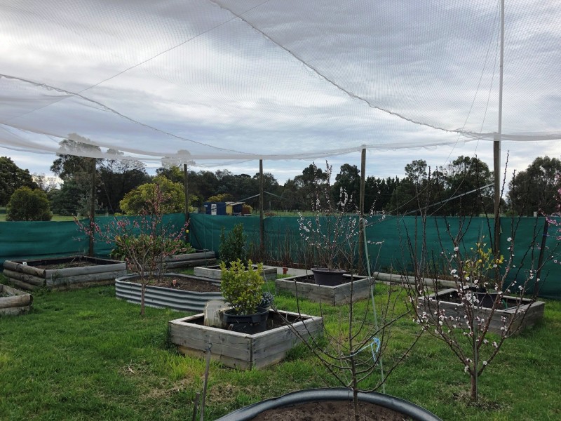 118 Saxon Drive, Acton Park TAS 7170