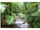Lot 74 Mount Cougal Road, Tallebudgera Valley QLD 4228