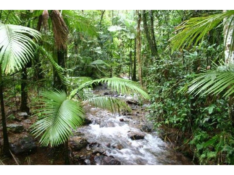 Lot 74 Mount Cougal Road, Tallebudgera Valley QLD 4228
