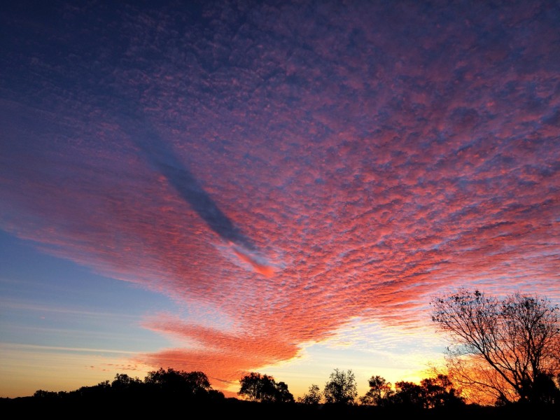 7 Ambrose St, Brighton QLD 4017