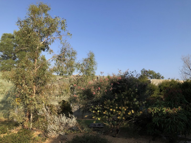 7 Ambrose St, Brighton QLD 4017