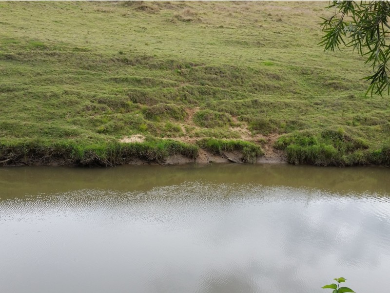 36 Riverina Court, Chambers Flat QLD 4133