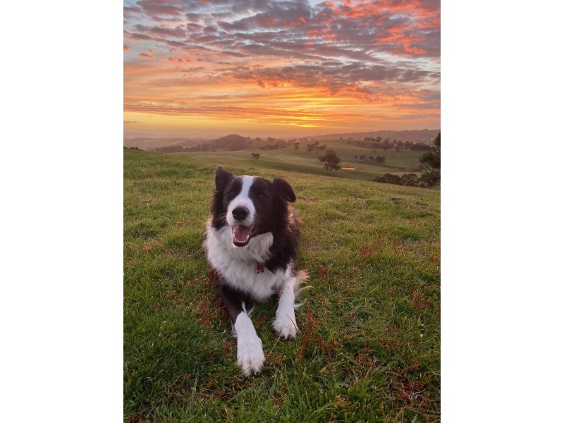 198 Nunn Road, Myponga SA 5202