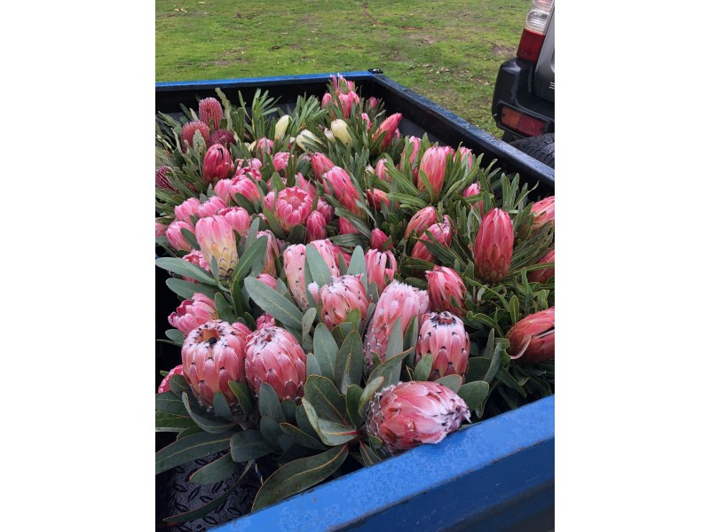 198 Nunn Road, Myponga SA 5202