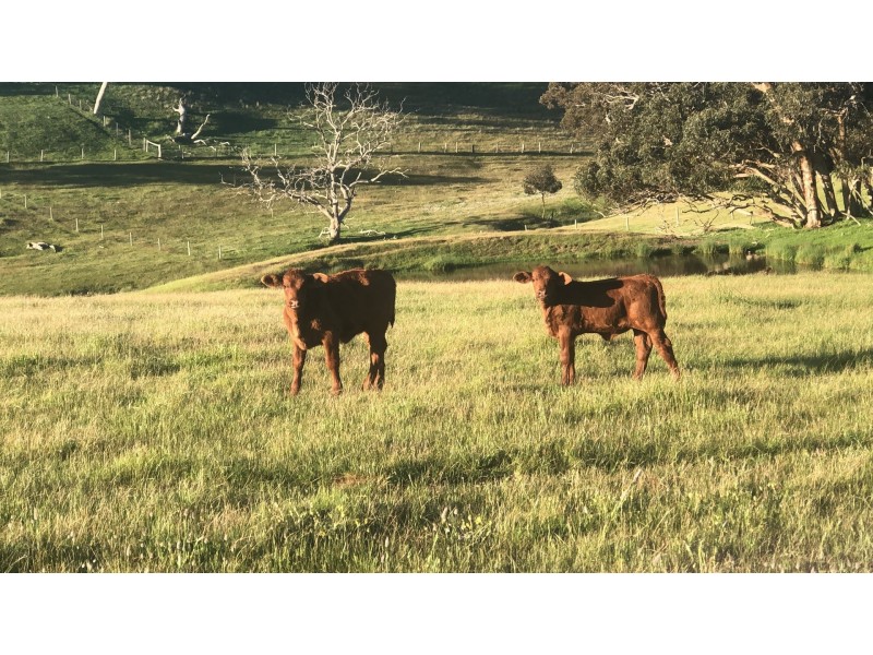 198 Nunn Road, Myponga SA 5202