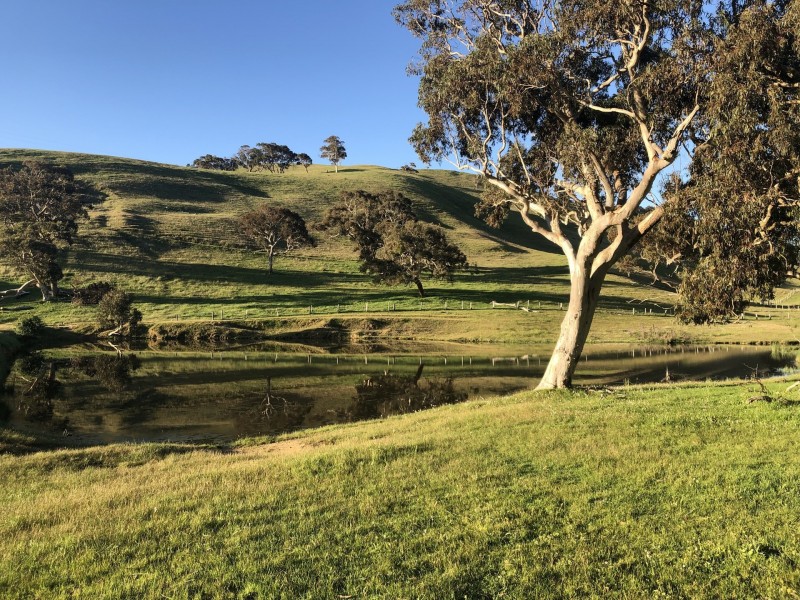 198 Nunn Road, Myponga SA 5202