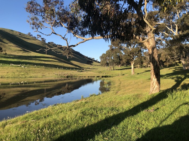 198 Nunn Road, Myponga SA 5202