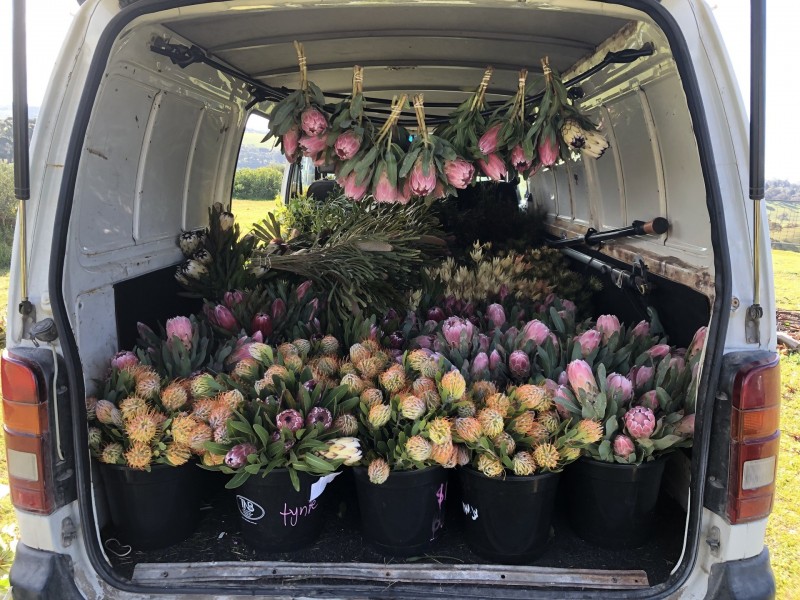 198 Nunn Road, Myponga SA 5202