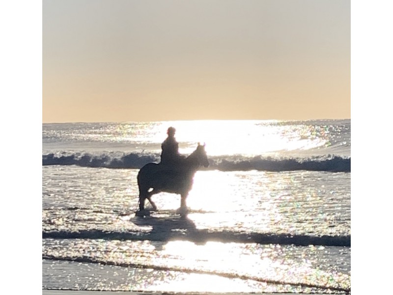 2017 The Lakes Way, Rainbow Flat NSW 2430