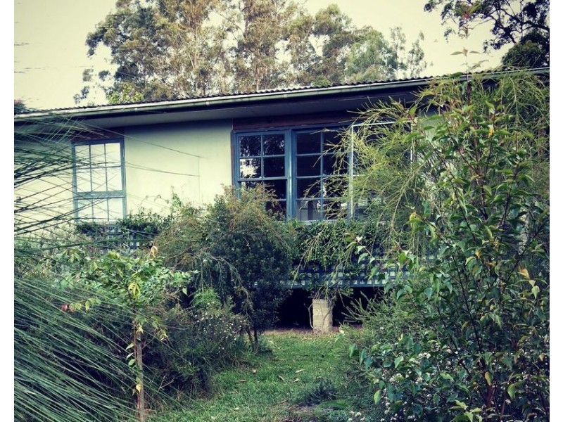 Bellingen NSW 2454