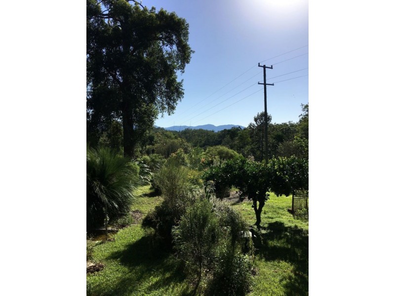 Bellingen NSW 2454