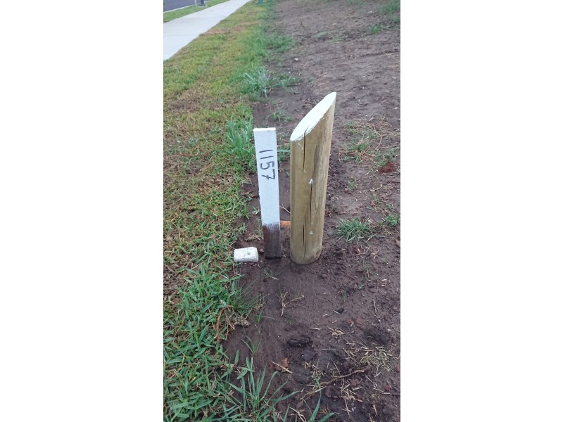 Lot 1157 Apple Street, Gillieston Heights NSW 2321